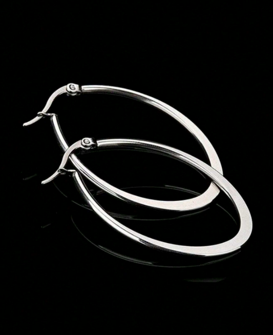 Earrings  Silver  Stainless Steel Hoop Oblong