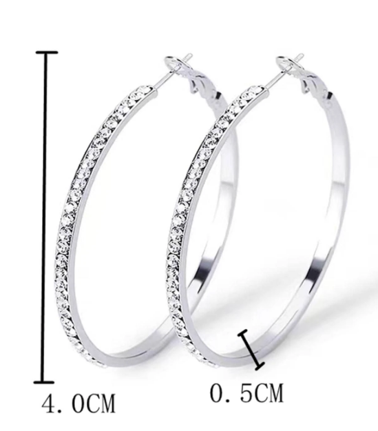 Cubic Zirconia  Silver Stainless Steel Hoop Earrings