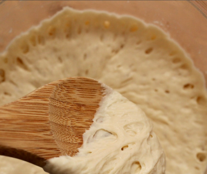 Doughlores Sourdough Starter LIVE