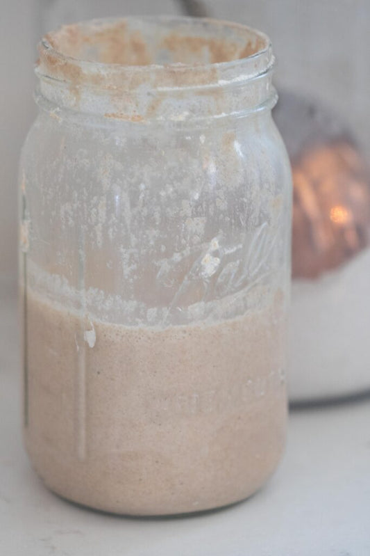 Rylee Sourdough Starter Dehydrated ( Rye )