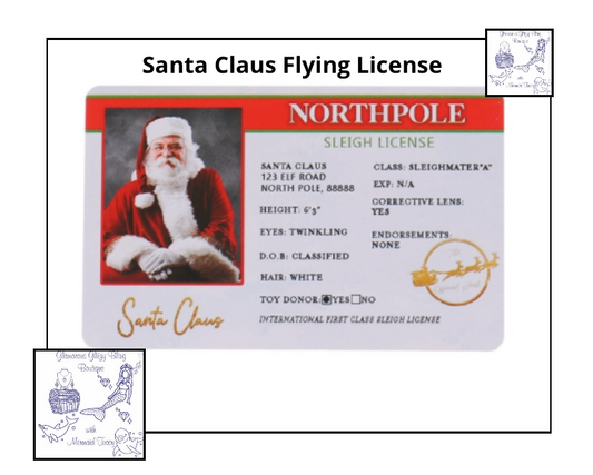 Lost Santa Claus Drivers Flight License    🔥 HOT Seller 🔥   SALE   🔥